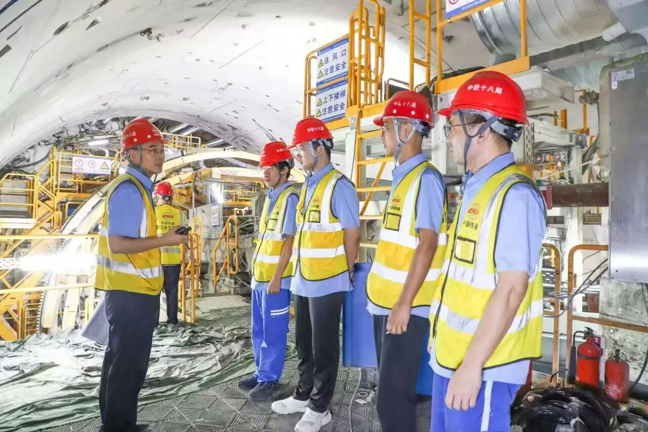 滨海沿江饱和软土的生态加固机理