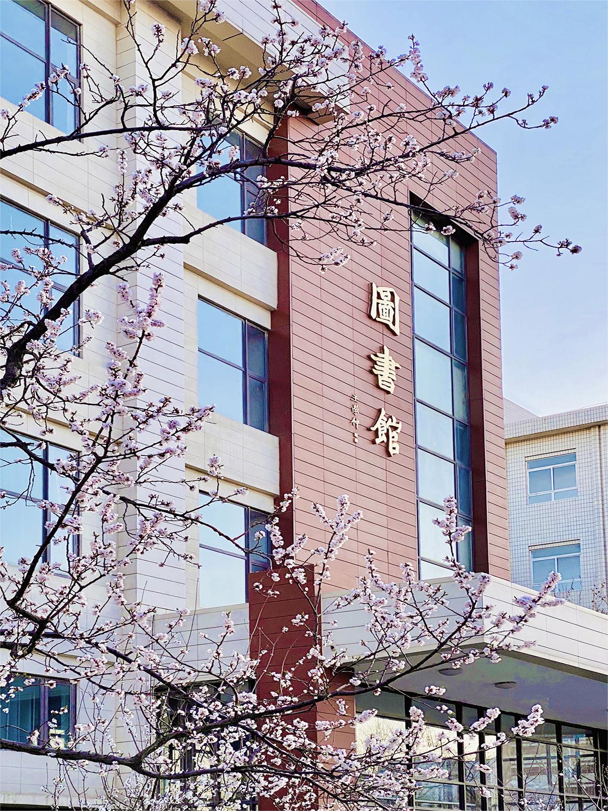 津教备0084号